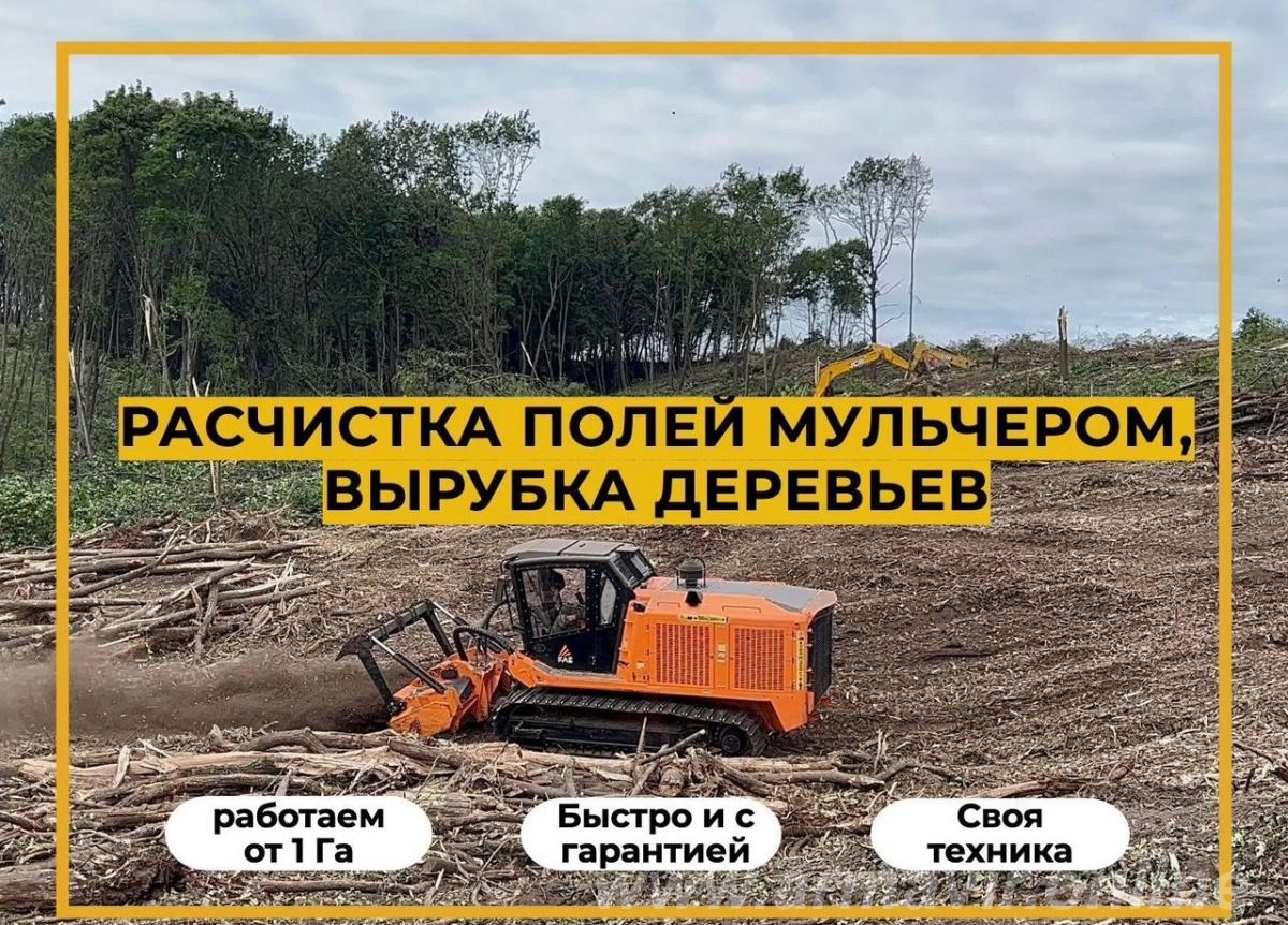 Расчистка участка мульчером от 1 Га, спил деревьев Армавир