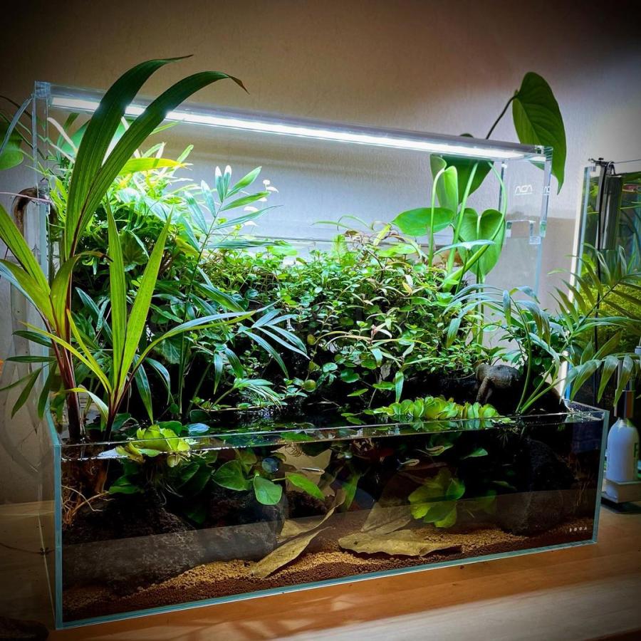 Aquarium Армавир