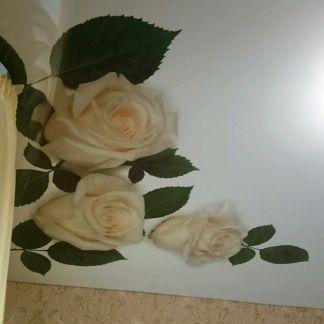 Натяжные потолки в ейске и районе  - купить на сайте объявлений Ейск онлайн