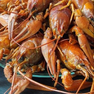 Доставка раков  - купить на сайте объявлений Краснодар онлайн