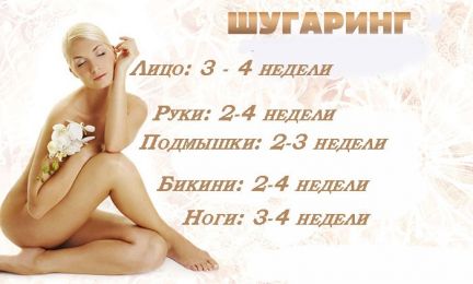 Шугаринг Кача Орловка Андреевка Любимовка  - купить на сайте объявлений Севастополь онлайн