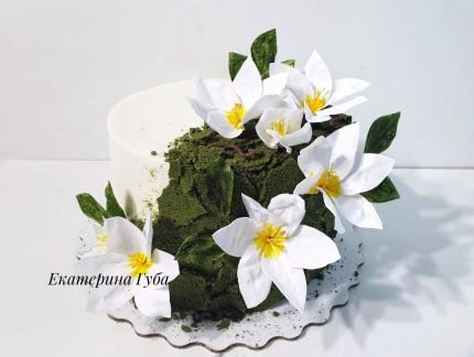 Торты на заказ  - купить на сайте объявлений Тимашевск онлайн