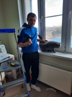 Ремонт окон  Армавир