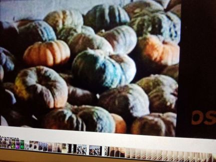 Продам тыква  Армавир