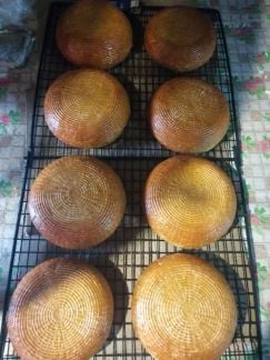 Адыгейский сыр,Сулугуни нитки косички  Армавир