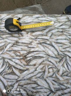 Продукты питания  Армавир