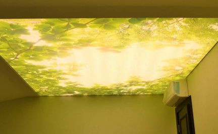 Натяжной потолок  Армавир