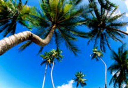 Натяжные потолки slott  Армавир