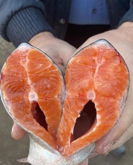 Радужная форель  - купить на сайте объявлений Краснодар онлайн