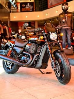 Harley-Davidson Street Rod 2020 г  Армавир