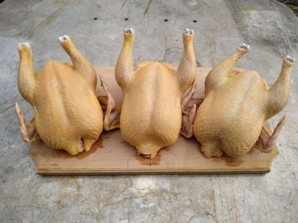 Домашние куры  - купить на сайте объявлений Краснодар онлайн