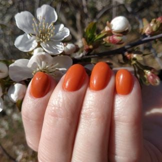 Маникюр комбинированный  Армавир