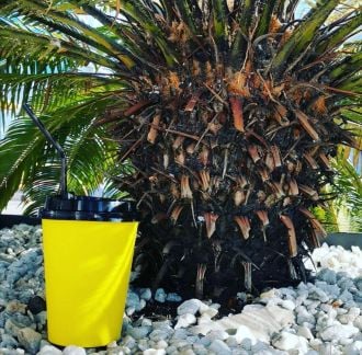 Бариста  - купить на сайте объявлений Сочи онлайн