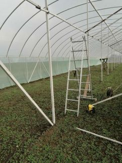 Услуги сварщика  Армавир