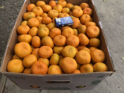 Мандарины оптом  Армавир