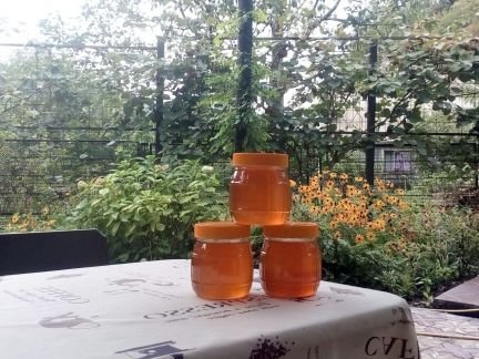 Продажа меда оптом и в розницу  - купить на сайте объявлений Краснодарский край онлайн