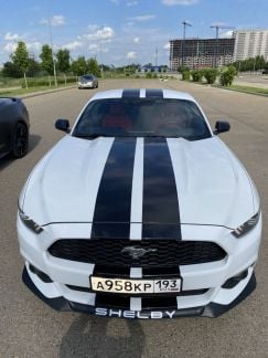 Аренда/прокат Форд мустанг,без водителя  - купить на сайте объявлений Краснодар онлайн