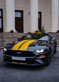 Аренда прокат кабриолетов Сочи Адлер Красная Полян  Армавир