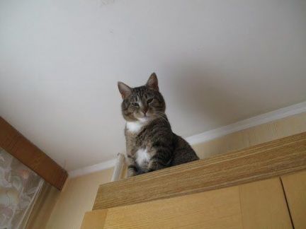 Натяжные потолки  Армавир