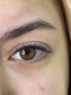 Нужны модели на Брови и Ресницы  Армавир