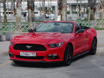 Прокат / Аренда кабриолета Ford Mustang  Армавир