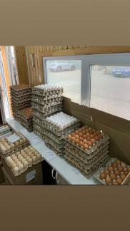 Яйцо Куриное, Фермерские яйца без маркировки  - купить на сайте объявлений Краснодар онлайн