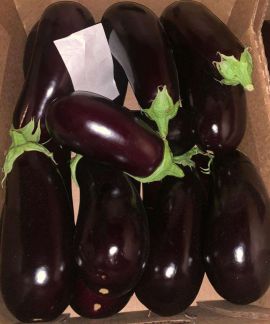 Баклажан  - купить на сайте объявлений Краснодар онлайн