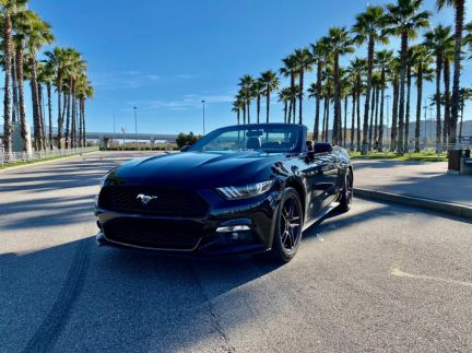 Прокат / Аренда кабриолета Ford Mustang Black  Армавир