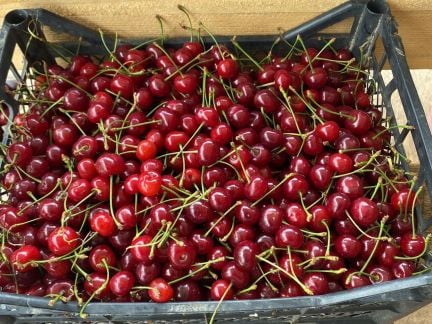 Доставка овощей и фруктов  Армавир