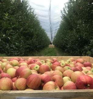 Разнорабочий  - купить на сайте объявлений Абинск онлайн