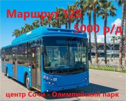 Вoдитeль (кaтeгopия Д) на маршрут 125  - купить на сайте объявлений Сочи онлайн