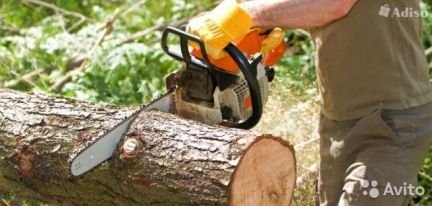 Спил деревьев, работы на даче или в огороде  - купить на сайте объявлений Армавир онлайн