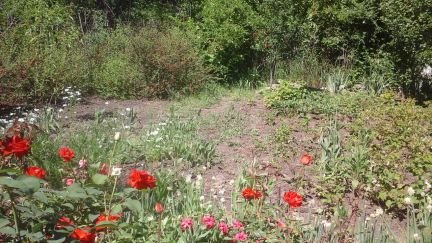 Дача 40 м кв. на участке 5 сот.  - купить на сайте объявлений Армавир онлайн