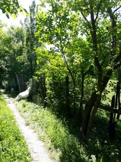 Дача 20 м кв. на участке 7 сот.  - купить на сайте объявлений Армавир онлайн