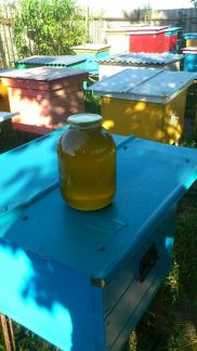 Мед  - купить на сайте объявлений Армавир онлайн