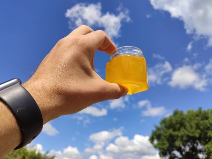 Мёд оптом  Армавир