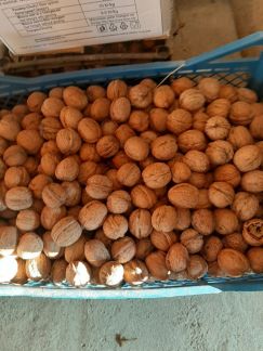 Армавир  Армавир