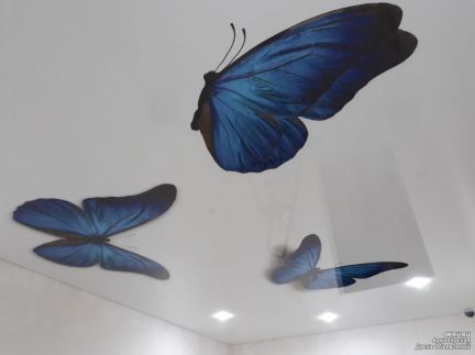 Натяжные потолки  - купить на сайте объявлений Армавир онлайн