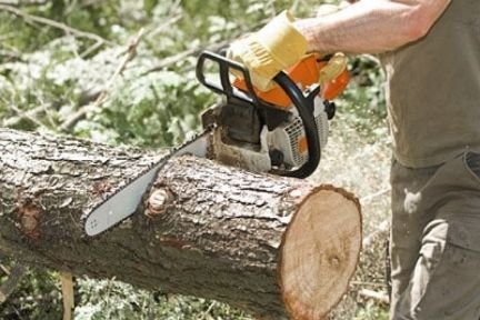 Косим трова и пилим дерева  - купить на сайте объявлений Армавир онлайн