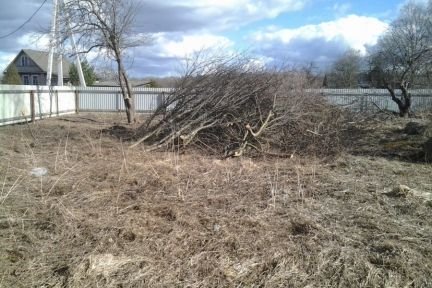 Спил деревьев, расчистка участков, снос  - купить на сайте объявлений Армавир онлайн