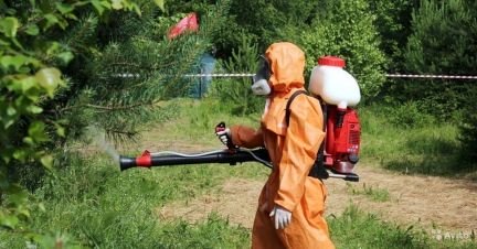 Обработка от клещей, тараканов, клопов Армавир  - купить на сайте объявлений Армавир онлайн