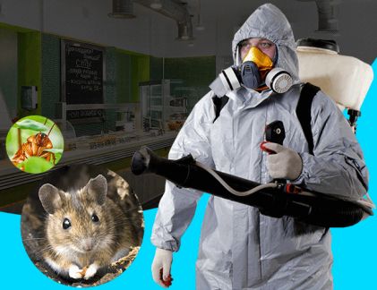 Уничтожение тараканов, блох, клопов, клещей. Kont  - купить на сайте объявлений Армавир онлайн