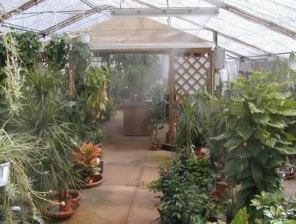 Полив дизайн системой туманообразования высокого  - купить на сайте объявлений Армавир онлайн