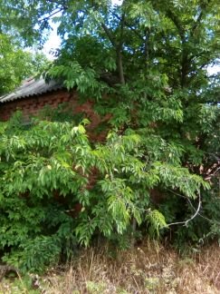 Участок 4 сот. (СНТ, ДНП)  - купить на сайте объявлений Армавир онлайн