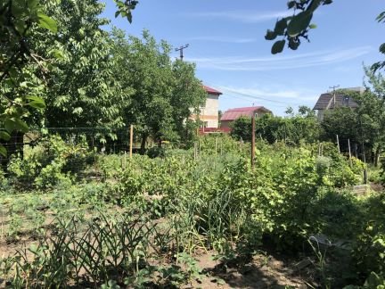 Участок 6 сот. (СНТ, ДНП)  - купить на сайте объявлений Армавир онлайн