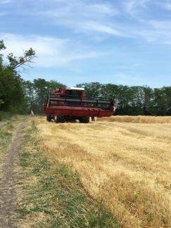 Уборка урожая  - купить на сайте объявлений Армавир онлайн