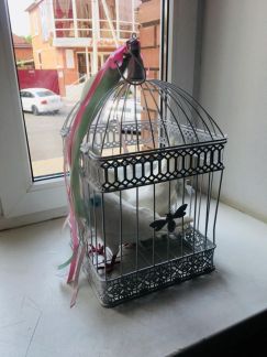 Клетка для голубей  - купить на сайте объявлений Армавир онлайн