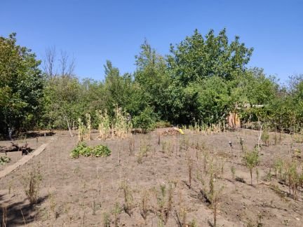 Дача 22 м кв. на участке 10 сот.  - купить на сайте объявлений Армавир онлайн