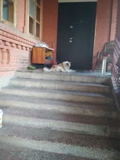 Дом 192 на участке 6  - купить на сайте объявлений Армавир онлайн