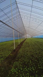 Теплицы любой сложности  - купить на сайте объявлений Армавир онлайн